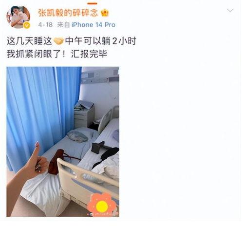 张凯毅男朋友爆料视频大全  第1张